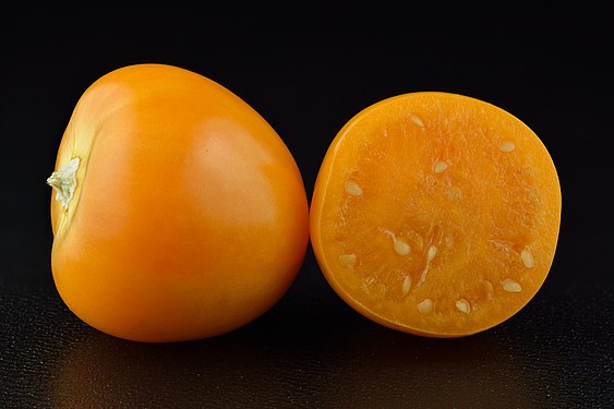 Physalis peruviana, by Ivar Leidus