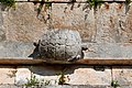 Dettall tad-"Dar tal-Fekruna" (Detalle de la "Casa de las Tortugas"), Puuc, Uxmal, Yucatán