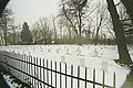 The cemetery at Johnson's Island