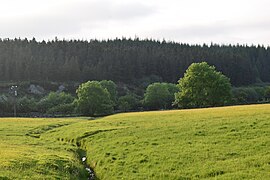 Drainage in a field