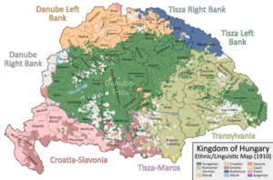 Ethnic Map of Hungary 1910 with Counties