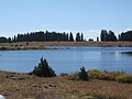 Numerous ponds and small lakes dot the top of the Mesa.