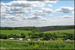 Landscape in Nizhnelomovsky District