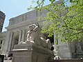 The Lion 'Fortitude' at the Main Branch of the New York Public Library.