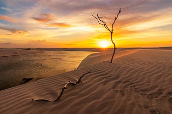 Sunset in Baixa Grande, an oasis in the middle of National Park Lençóis Maranhenses Brunonogaki