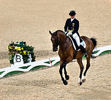 Dans une carrière de dressage une cavalière en redingotte et son cheval bai semblent en apesanteur, aucun membre du cheval ne touchant le sol.