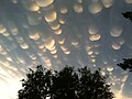 Mammatus clouds