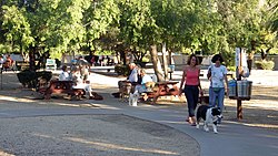 Duffeeland Dog Park