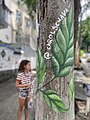 Laranjeiras Coletivo Arte - Rua Estelita Lins