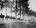 Battle of Polygon Wood 26 September - 3 October: Mounted troops of the 1st Anzac Corps moving along the tree-lined Ypres road