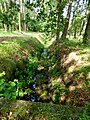 Le fossé de drainage.