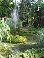 Pool in the city garden