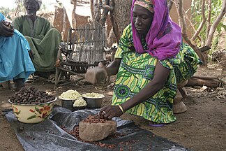 Shea nut processing, Burkina Faso