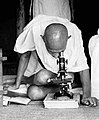 Gandhi studying leprosy