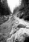 Fern Lake Trail