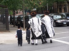 28% de la population de Brooklyn est juive[6], le pourcentage le plus élevé pour un territoire urbain en dehors d'Israël.