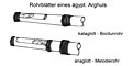 Drawings of Tubular single reeds. Tubular body is the same style as used in bülban. Reeds above split from middle upward and from top downward.