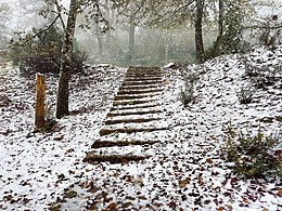 Nieve en Aïn Draham.