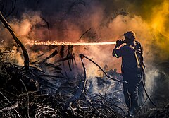 Third place: Firefighter fighting a battle against a veld-fire at Ashton Bay, Jeffreys Bay, Eastern Cape Province, Republic of South Africa. Autor: StevenTerblanche (CC BY SA 4.0)