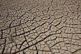 Drying inelastic mud in the Rann of Kutch with mainly 90° cracks