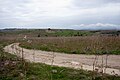 The plateaus of Civita and Ara della Regina, the location of ancient Tarquinia.