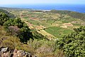 Pantelleria Ghirlanda ovası