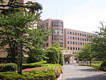 جامعة القديس لوقا في طوكيو