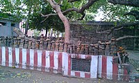 Images of Snake deity, Nagar