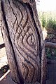 Wiradjuri carved tree, Grave of Yuranigh. c. 1850