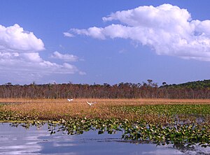 Freshwater-tidal estuary of Mattawoman Creek