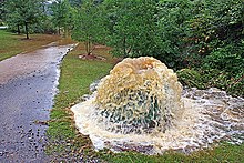 Dirty water spurting up a couple of feed from a sewage manhole.