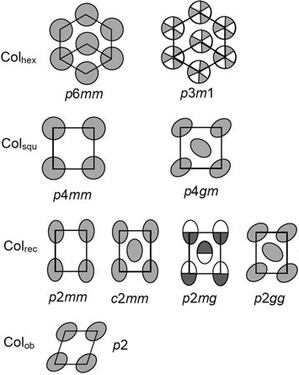 2D lattices of columnar mesogens; Colhex, Colsqu, Colrec and Colob stand for hexagonal, square, rectangular and oblique.[2]