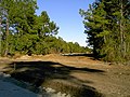 A clearing in a future subdivision in Carolina Forest.