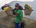 Mann ber ei bør på 90 kg i åk frå ei svovelgruve ved Kawah-Ijen i Indonesia.