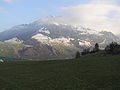 Buochserhorn