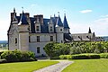 Abbaini sul castello di Amboise