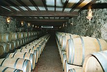 Colour photo showing an aging cellar for Sauternes (sweet white wine). The barrels are aligned in three rows against the walls and they are stacked on two levels with a row in the middle one barrel high. The light coloured barrels are newer barrels. The floor is tiled, the walls are stone, covered in grey mould, and the ceiling is white supported by dark coloured beams. The wall lighting is reminiscent of medieval torches.