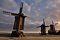 Angla windmills, Saaremaa