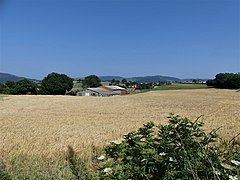 Causse-Bégon à l'ouest.