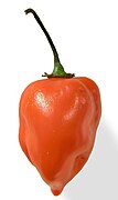 Habanero´ pipar