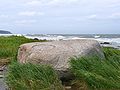 Image 42Erratics, boulders deposited by glaciers far from any existing glaciers, led geologists to the conclusion that climate had changed in the past. (from History of climate change science)