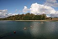 Reservoir at Springhill Covert (2008)