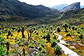 Image 3Rwenzori mountains in Uganda (from Uganda)