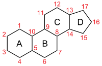 Nomenclature du stérane