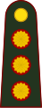 General de división (Argentine Army)[4]