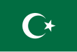 Flag of the Islamska Zajednica (Bosnia and Herzegovina)