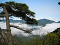 三清山風景