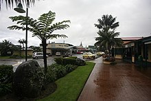 Burnt Pine in Norfolk Island, Australia.jpg