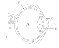 Eye diagram