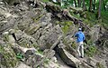 Tilted dolomites resulting from the impact which produced Kaali Crater, Saaremaa, Estonia.